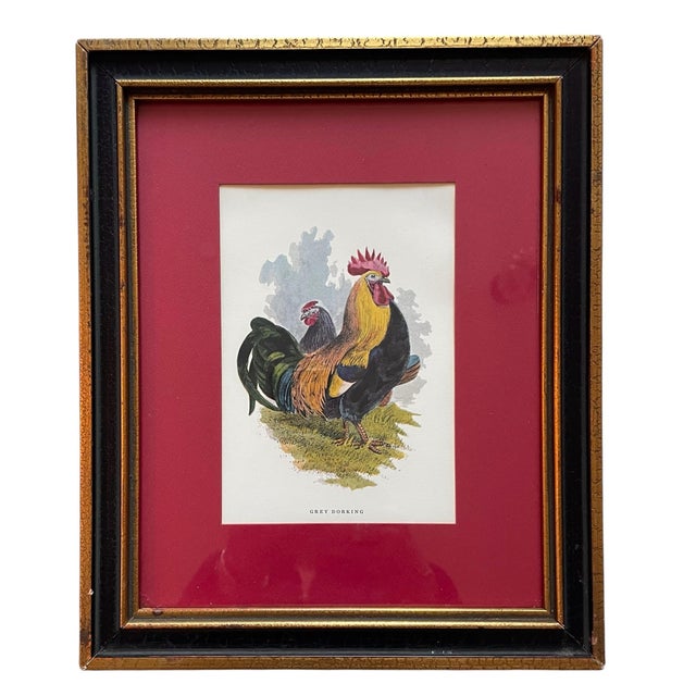 This set of two vintage Grey Dorking and Spanish rooster framed prints features a charming farmhouse or country-themed...