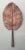 Vintage Copper Botanical Wall Art For Sale - Image 11 of 12