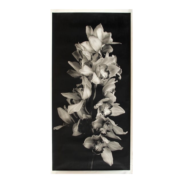 Cascade of Orchids in Black and White, Jonathan Singer, Photography For Sale