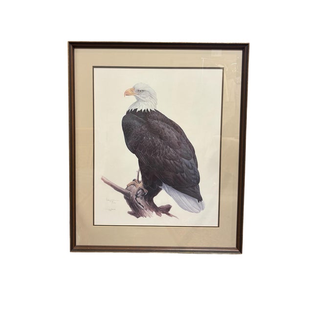 Weight: 8.9lbs 29 3/4 W x 35.5 L x 1 3/4 D * measurements of picture: 21 3/4 W x 26.5 L