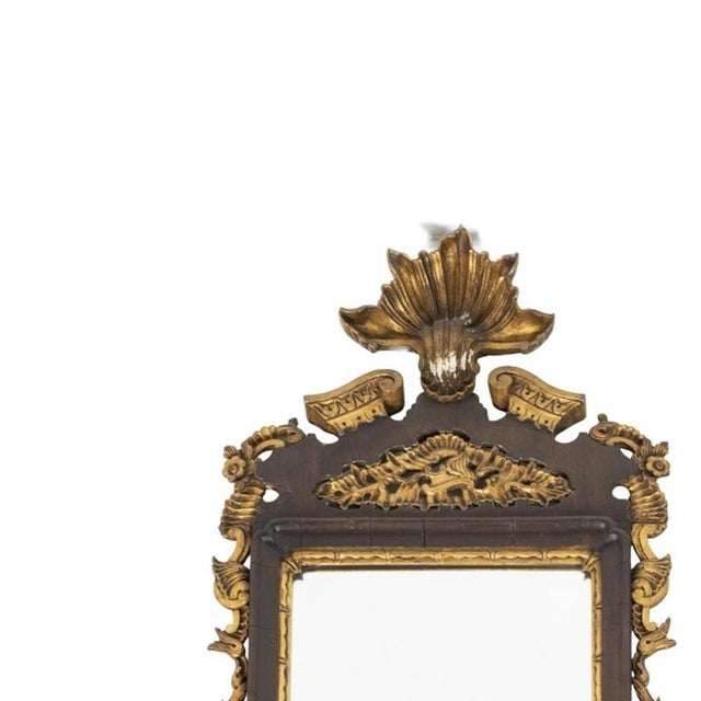 Furniture - Pair of D. José mirrors - 19th century. Portuguese, from the 18th century, in carved and openwork rosewood,...