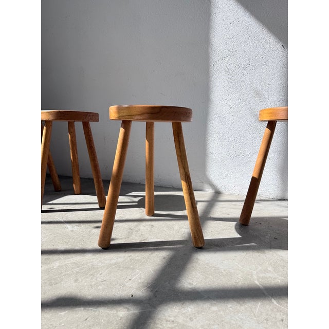 Tripod Stools in Gilded Oak, 1950s, Set of 4 For Sale - Image 12 of 18
