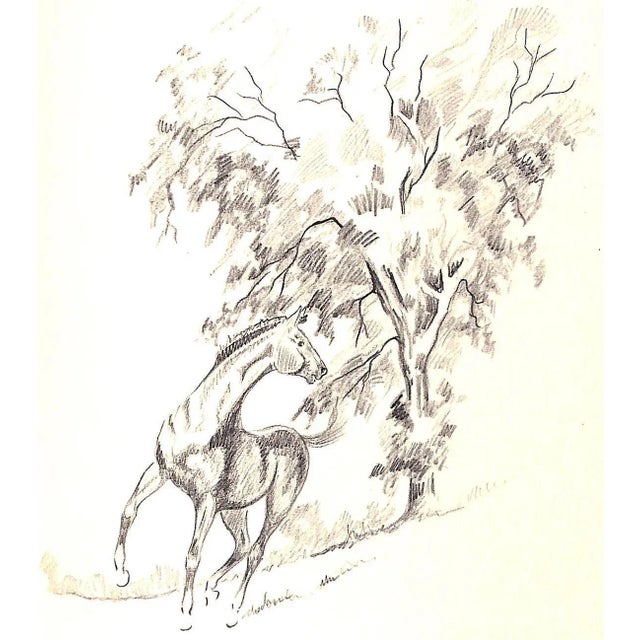 "Hoofbeats: Drawings and Comments" 1938 Halpin, Warren T. For Sale In New York - Image 6 of 12