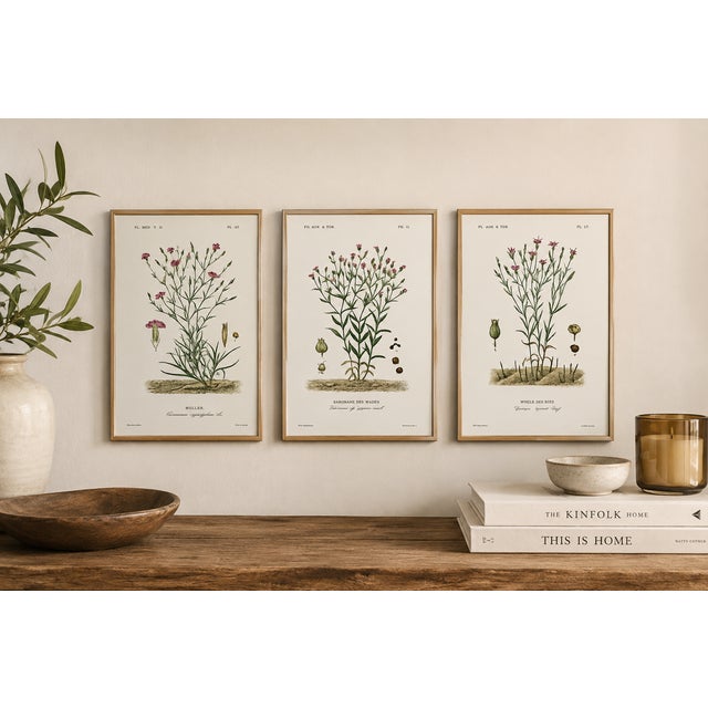 Late 19th Century 1870 G. Dupuis Lithographs From the Vegetable Kingdom — Understated Antique Natural History Illustrations Set of 3 For Sale - Image 5 of 5