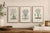 Late 19th Century 1870 G. Dupuis Lithographs From the Vegetable Kingdom — Understated Antique Natural History Illustrations Set of 3 For Sale - Image 5 of 5