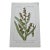 Antique French Botanical Lithograph - Sparganium by Henri Ernest Baillon For Sale
