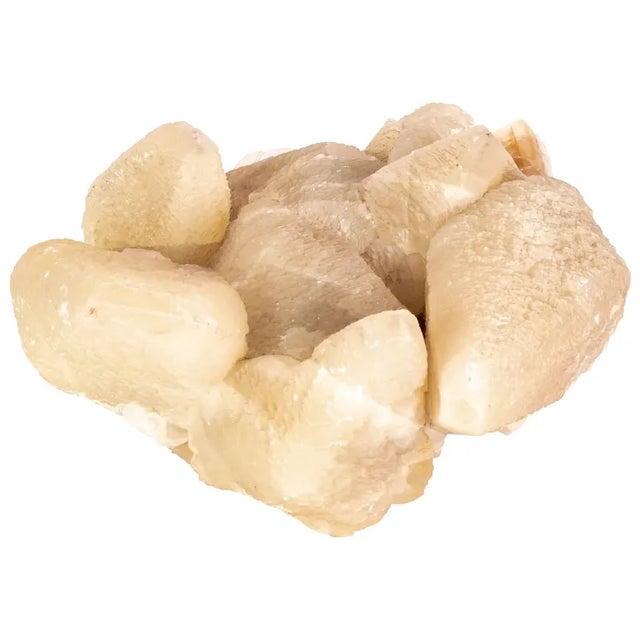 White Striated Calcite Mineral Specimen Collected From Taffs Well Quarry, Cardiff in 1931 For Sale - Image 8 of 9