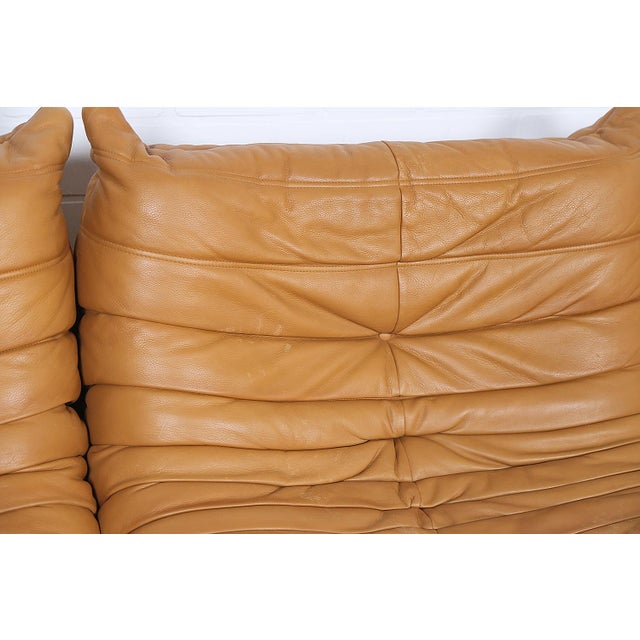 Cognac Leather Togo Sofas by Michel Ducaroy for Ligne Roset, 2010s, Set of 4 For Sale - Image 12 of 18