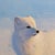 This oil painting captures the Arctic fox in a serene, wintry landscape, its soft white fur blending seamlessly with the...
