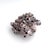 Late 20th Century Natural Barnacles Cluster For Sale - Image 5 of 8