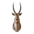 African Waterbuck Shoulder Mount Safari Trophy Wall Art Taxidermy Vintage For Sale