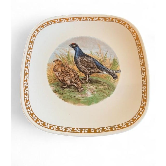 Set of 12 Vintage Longchamp French Pheasant Plates For Sale In Austin - Image 6 of 6