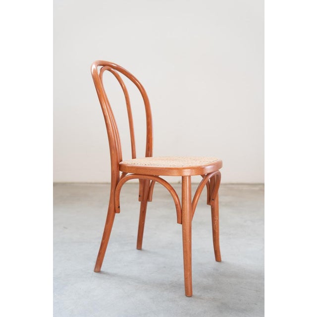 Chairs in Curved Beech Wood and Straw Seat, 1990s, Set of 12 For Sale - Image 15 of 17