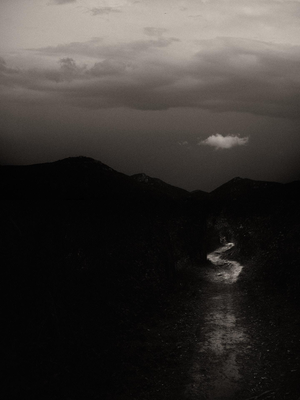 Jaume Llorens Bach, Gaia Diptych #90, Monochrome Photographic Print