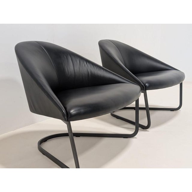 Colina M Armchairs from Arper, Set of 2 For Sale - Image 5 of 13