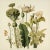 This fine art print reproduces a beautifully detailed 19th-century botanical illustration depicting an elegant arrangement...
