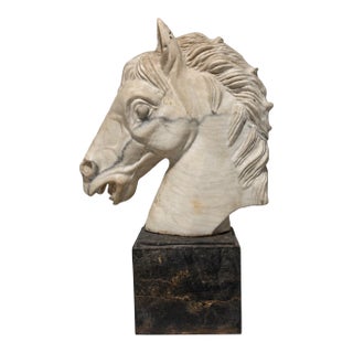 Grand Tour–Style Marble Horse Head on a Marble Plinth, Italian C. 1900 For Sale
