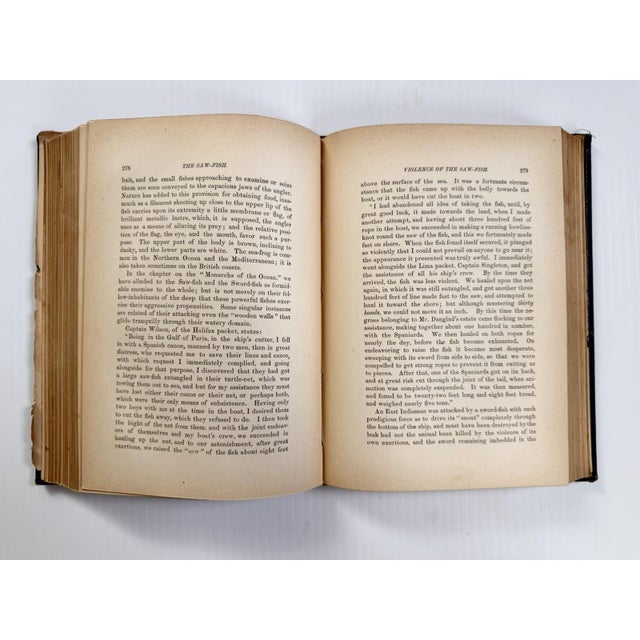 1884 the Water World by J W Van Dervoort Illustrated Book About Sea Life, Ghost Ships For Sale - Image 13 of 17