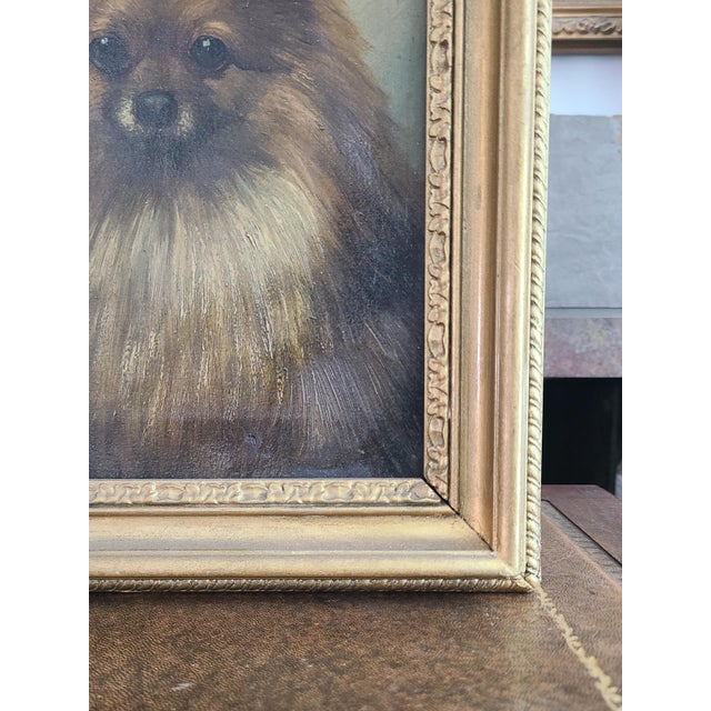 Small Antique 19th Century Oil Painting Portrait of a Pomeranian Dog For Sale - Image 9 of 14