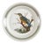 Vintage Portmeirion Birds of Britain Kingfisher Bread & Butter Plate – Green Band For Sale