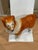 Early 19th Century Antique Victorian Staffordshire Collie Figurine For Sale In Boston - Image 6 of 6