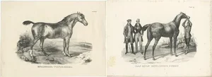 H.R. Schinz, English Horses, 1827, Paper, Set of 2