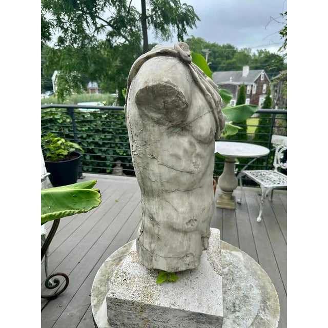Roman Marble Torso For Sale - Image 4 of 9