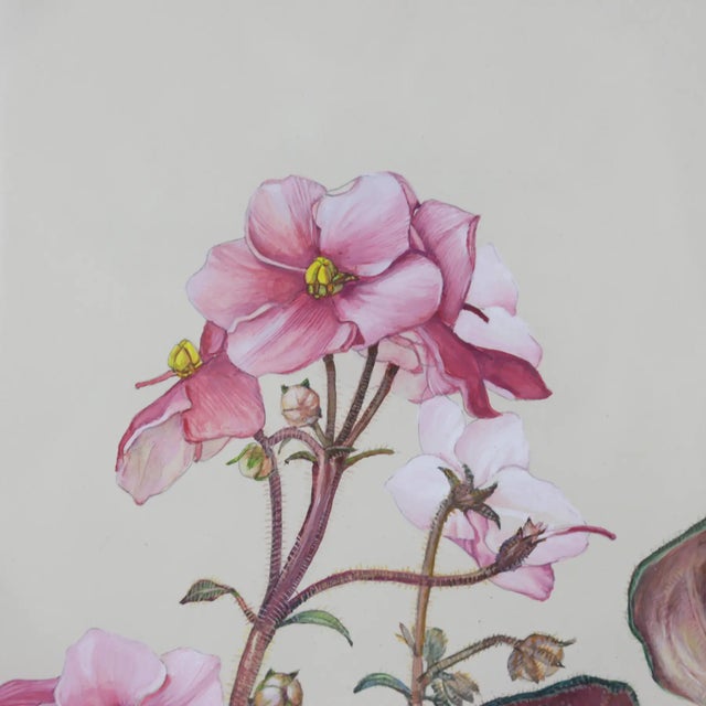 Mid 20th Century Hand-Painted Watercolor Specimen Flower Painting, Signed For Sale - Image 5 of 10