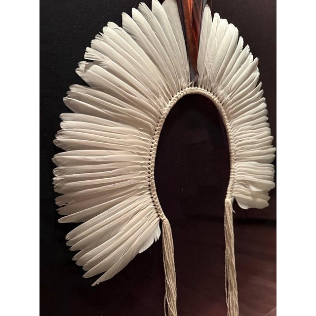 Brazilian Kayapó Wall Decor | Amazon Indigenous Feather Headdress 'Cocar' For Sale - Image 9 of 11