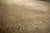 Antique Fine Distressed Tabriz Carpet - 10'2" x 13'4" For Sale - Image 16 of 16