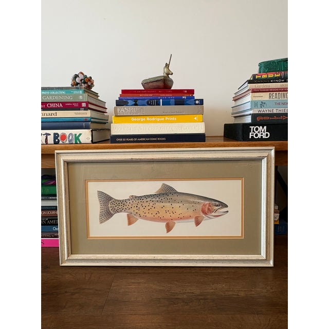 Wood Vintage Framed Trout Fish Prints Cabin Coastal Wall Art - A Pair For Sale - Image 7 of 11