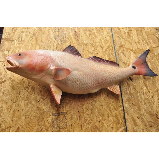Vintage 49" Large Red Drum Full Wall Mount Taxidermy Redfish Fish Replica. Circa Late 20th Century. Measurements: 19" H x...