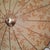 Metal German Ceiling Light from Erco Leuchten, 1950s For Sale - Image 7 of 18