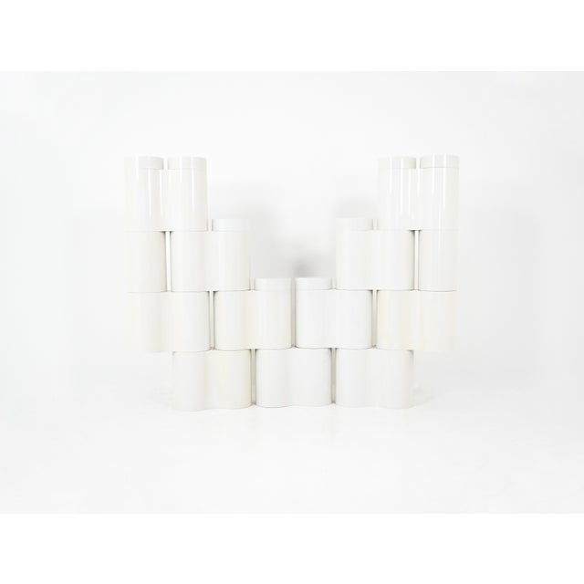 Modular room divider designed by pierluigi spadolini & paolo felli. Model: fiocco. Composed of 11 double pieces and 2...