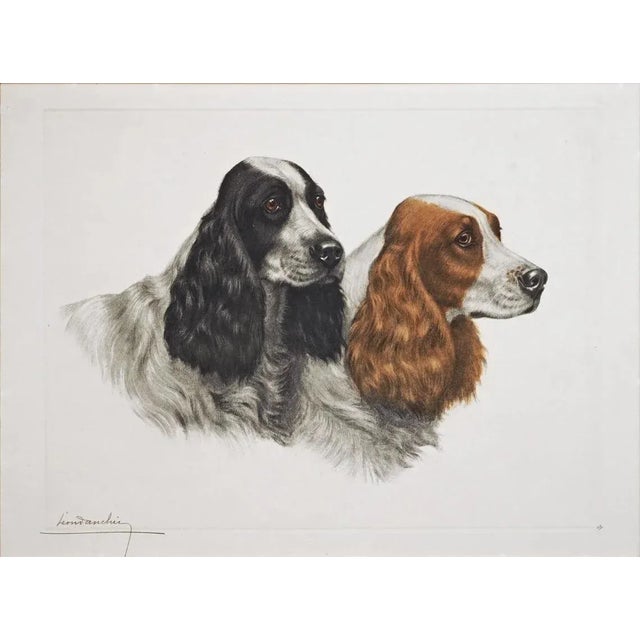 Realistic portrayal of Springer Spaniel dogs with distinctive long ears and expressive eyes. Created by renowned French...
