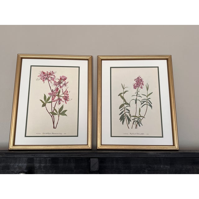 This beautiful set of 2 gold finished wood framed original vintage botanical prints were published in 1953. These 73 year...