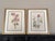 This beautiful set of 2 gold finished wood framed original vintage botanical prints were published in 1953. These 73 year...