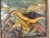 1970s Vintage Impasto Oil on Masonite Painting of Shorebird in Coastal Landscape, Framed For Sale - Image 5 of 7