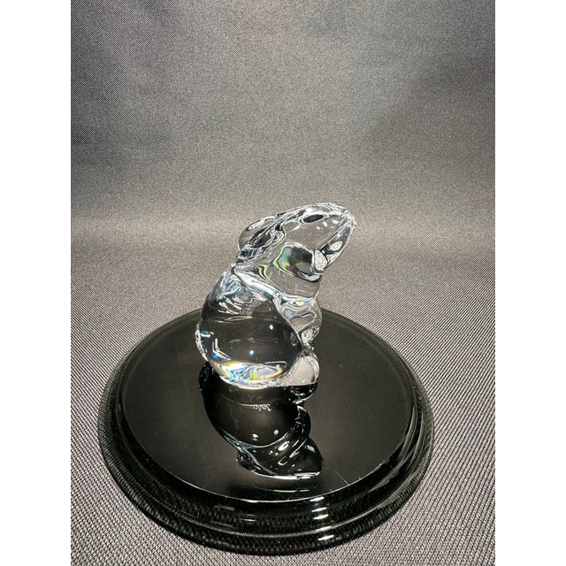 Glass Retired Baccarat Seated Rabbit No#762520 Crystal Figurine For Sale - Image 7 of 7