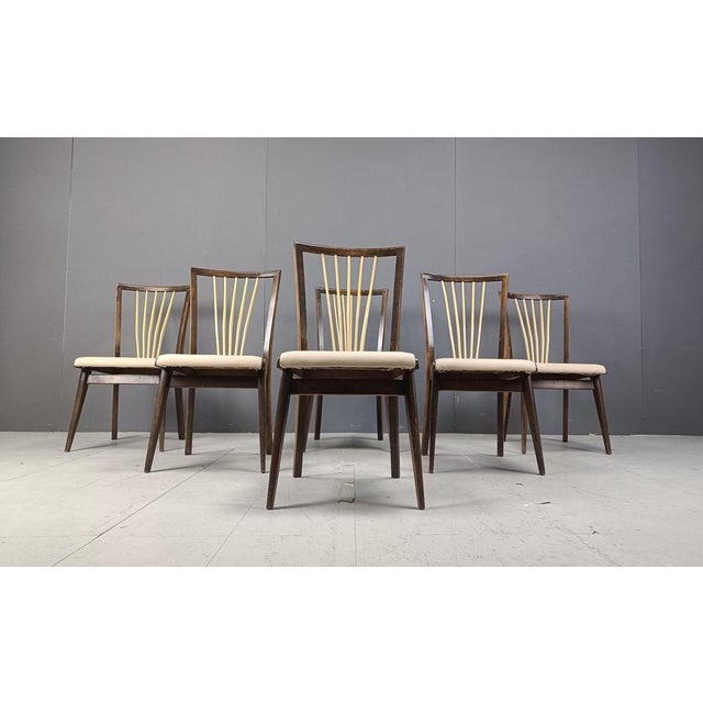 Mid-Century Italian Dining Chairs, 1950s, Set of 6 For Sale - Image 6 of 16