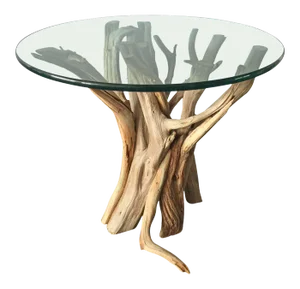 Organic Modern Natural Driftwood Branch Occasional Table