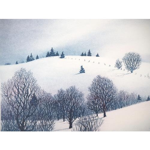 Darrell Duchene, Snowy Valley, 1981, Etching For Sale - Image 4 of 8