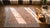 Salmon Stunning Peach Background With Palmette and Stiff Vinery Pattern Pattern Antique Indian Agra Rug For Sale - Image 8 of 10