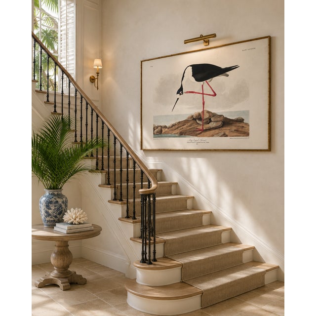 Long-Legged Avocet, Museum Style Audubon Bird Print, 60" X 40" For Sale - Image 11 of 12