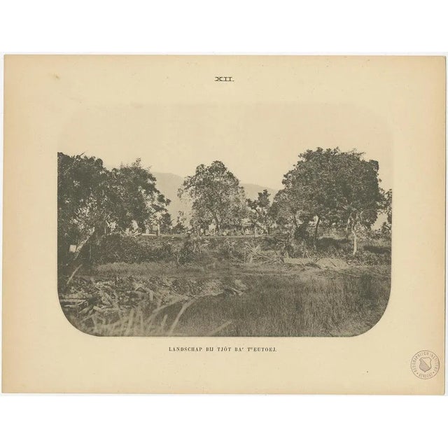 E.J. Brill,Twelve Aceh Atjeh, 1895, Print For Sale - Image 13 of 15