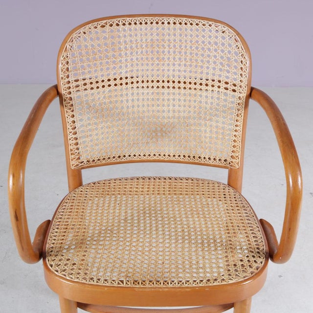 Brown 811 Chair by Josef Hoffmann for Ligna, Czech, 1930s For Sale - Image 8 of 11