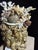 Sculpture Materials Celestial Meets the Sea-Shell Encrusted Bust-Coastal Art Sculpture For Sale - Image 7 of 11
