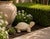 Stone Vintage Cast Stone Turtle Garden Statue For Sale - Image 7 of 12