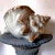 1930’s Vintage Capodimonte Gilded Celadon Shell Planter For Sale In Palm Springs - Image 6 of 8