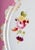 1830 Rockingham Porcelain Dinner Plates, Earl of Derby Coat of Arms - Set of 12 For Sale - Image 9 of 10